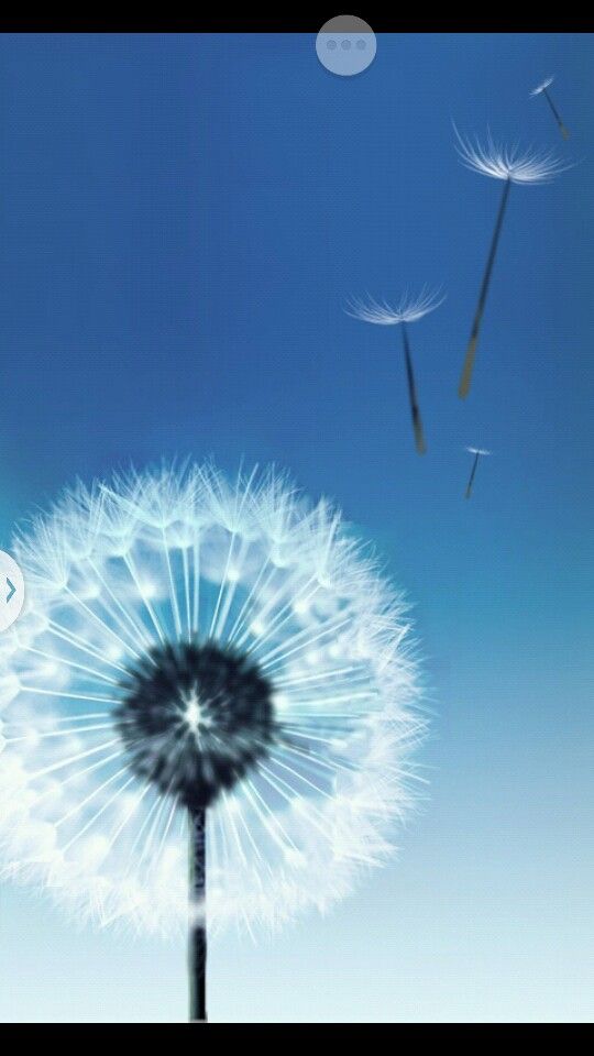 Samsung Galaxy S3 Original 540x960 Wallpaper Teahub Io