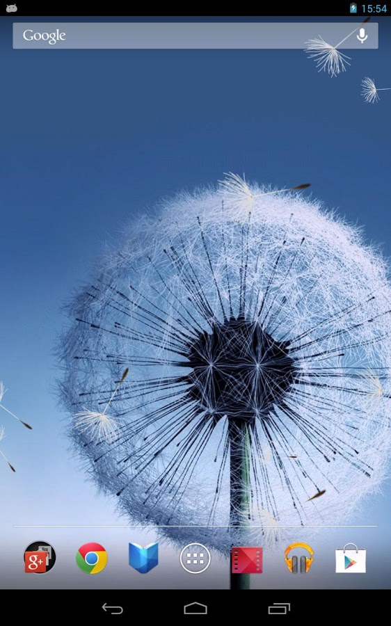 Samsung Galaxy S3 Wallpaper Dandelion - HD Wallpaper 
