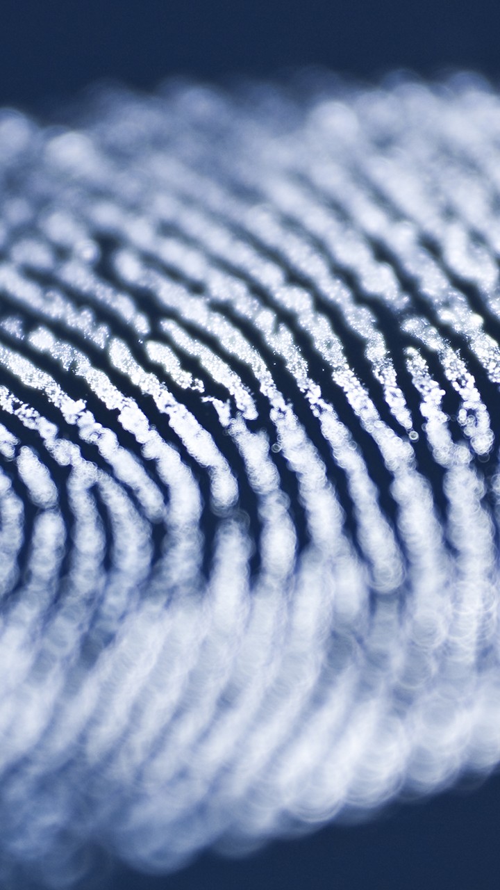 Coolpad Note 3 Stock Wallpaper 09 720 X 1280 - Forensic Backgrounds Png - HD Wallpaper 