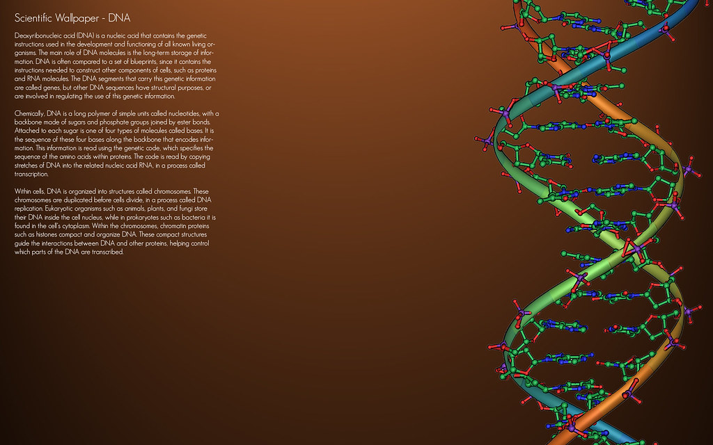 Proteins Sequence Code Backgrounds - HD Wallpaper 