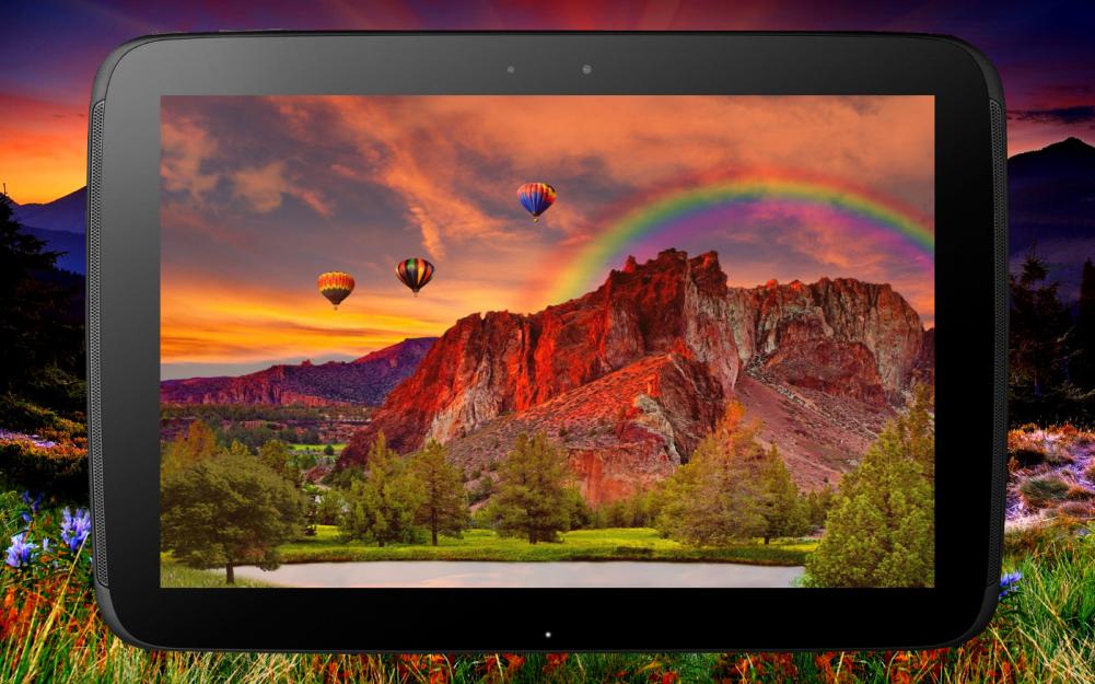 Wallpaper - HD Wallpaper 