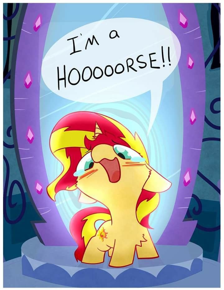 Sunlight Mlp - HD Wallpaper 