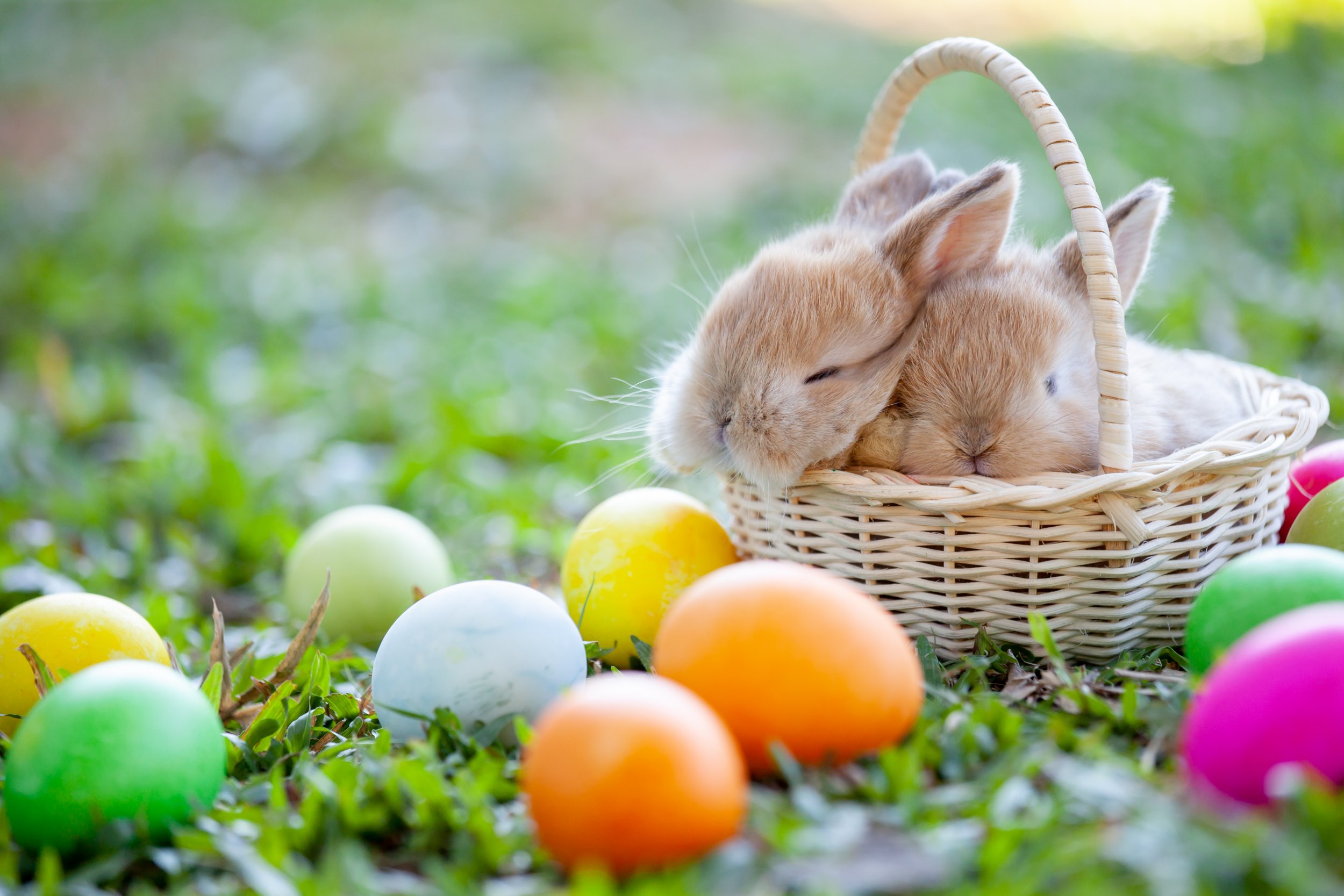 Walmart April Easter Day - HD Wallpaper 