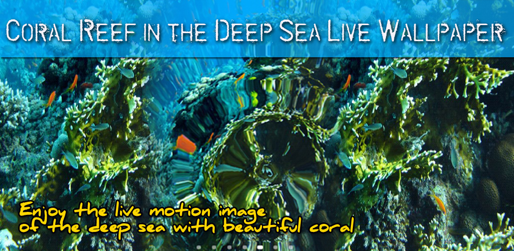 Marine Biology - HD Wallpaper 