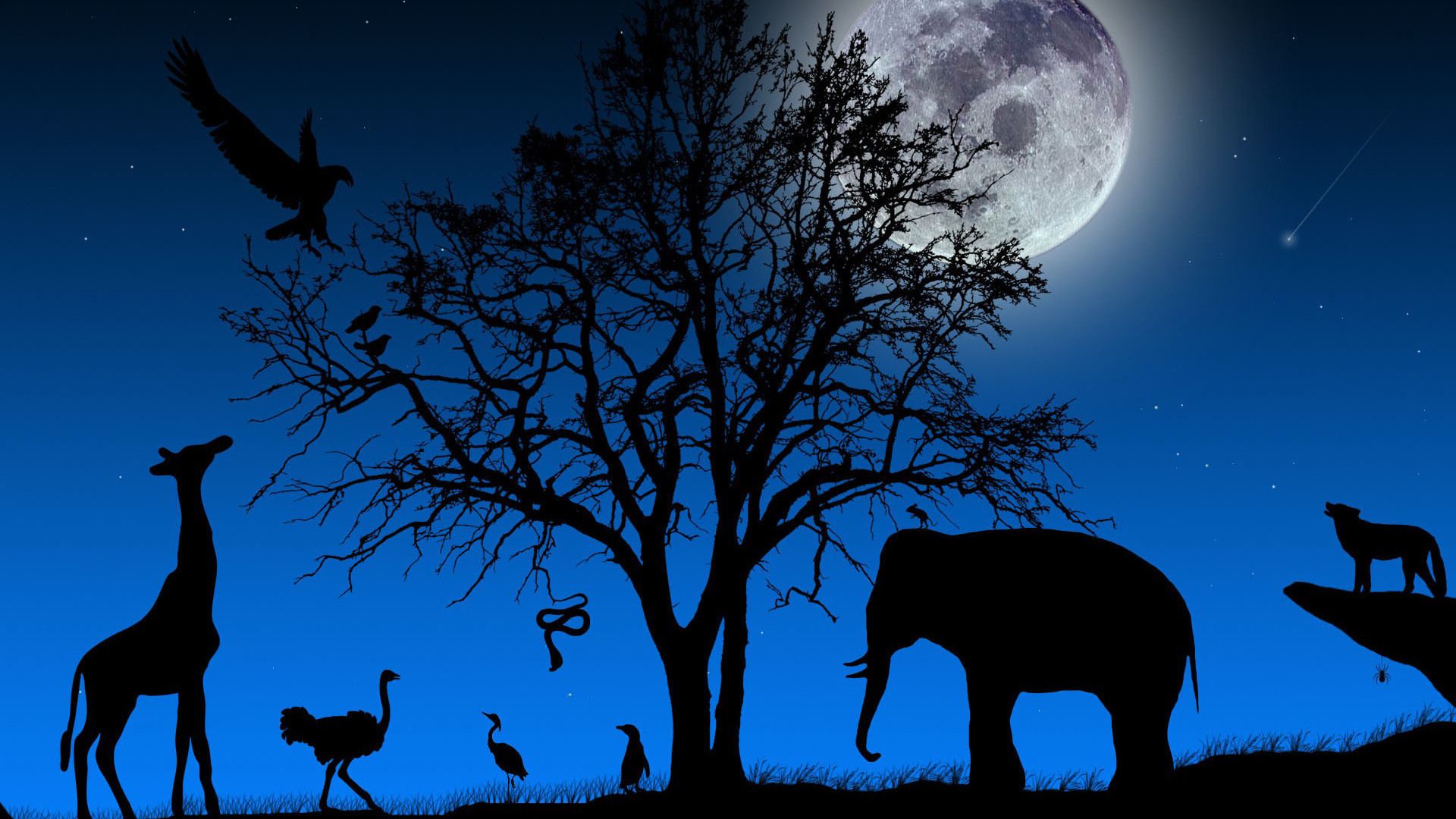 Animals At Night Clipart - HD Wallpaper 