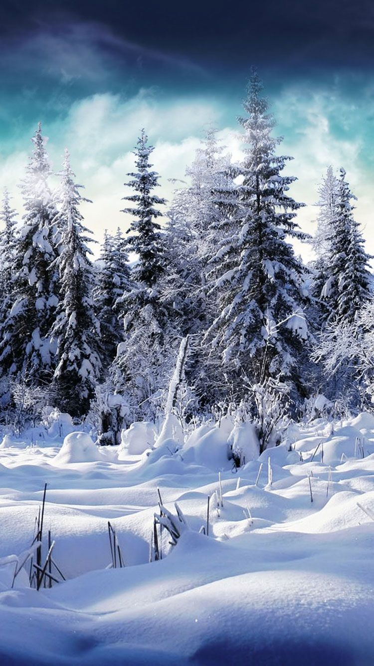 Winter Background Iphone 6 - HD Wallpaper 