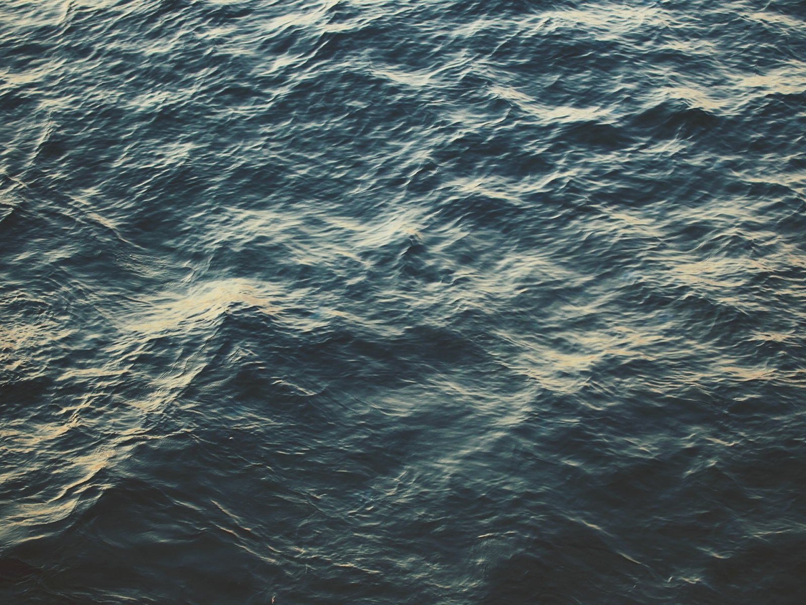 Zimekiss By Your Side - HD Wallpaper 