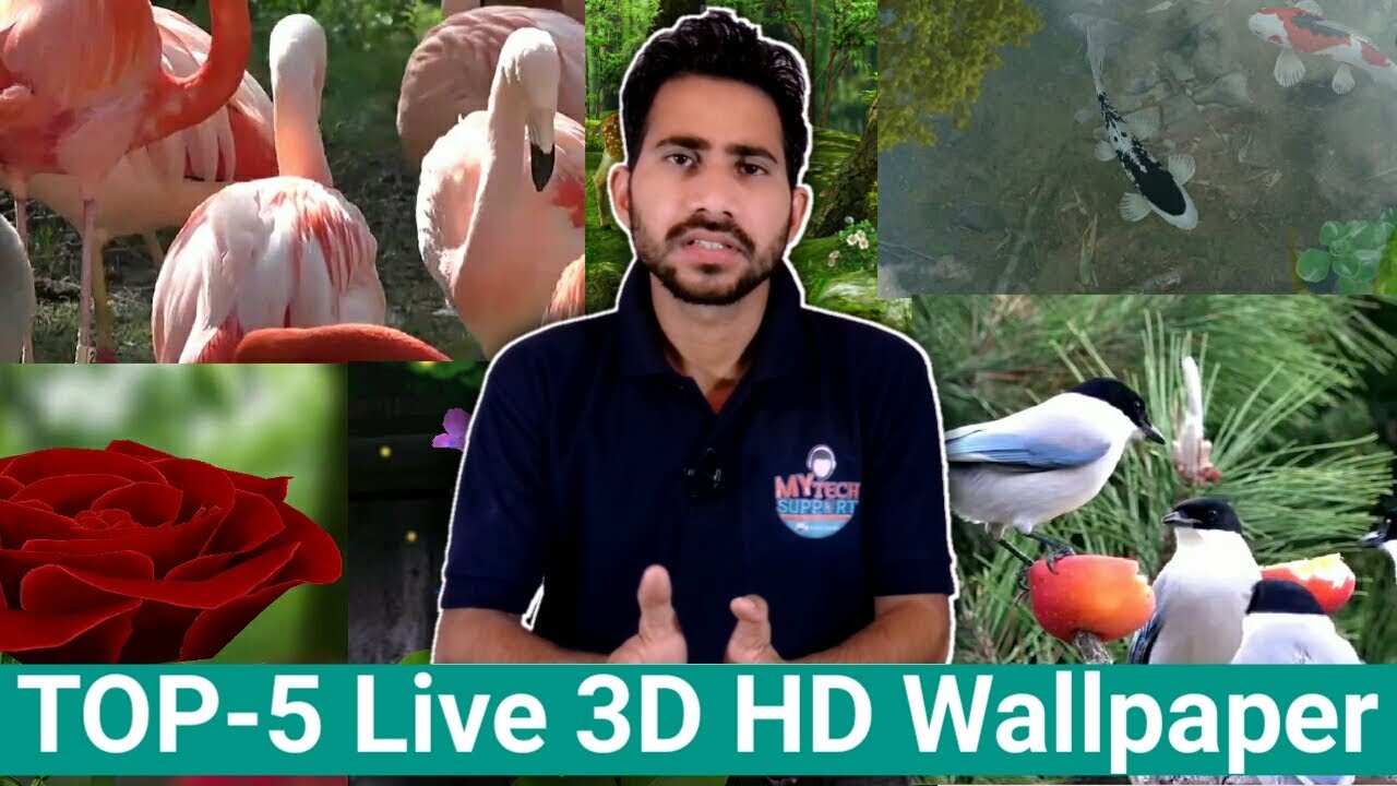 Garden Roses - HD Wallpaper 