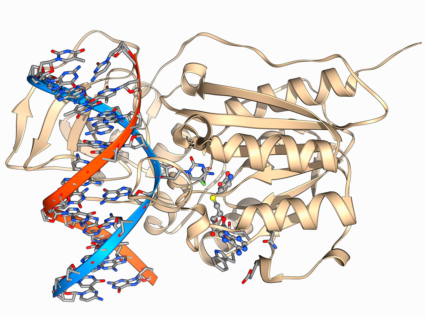 Methyltransferase And Dna - Graphic Design - HD Wallpaper 