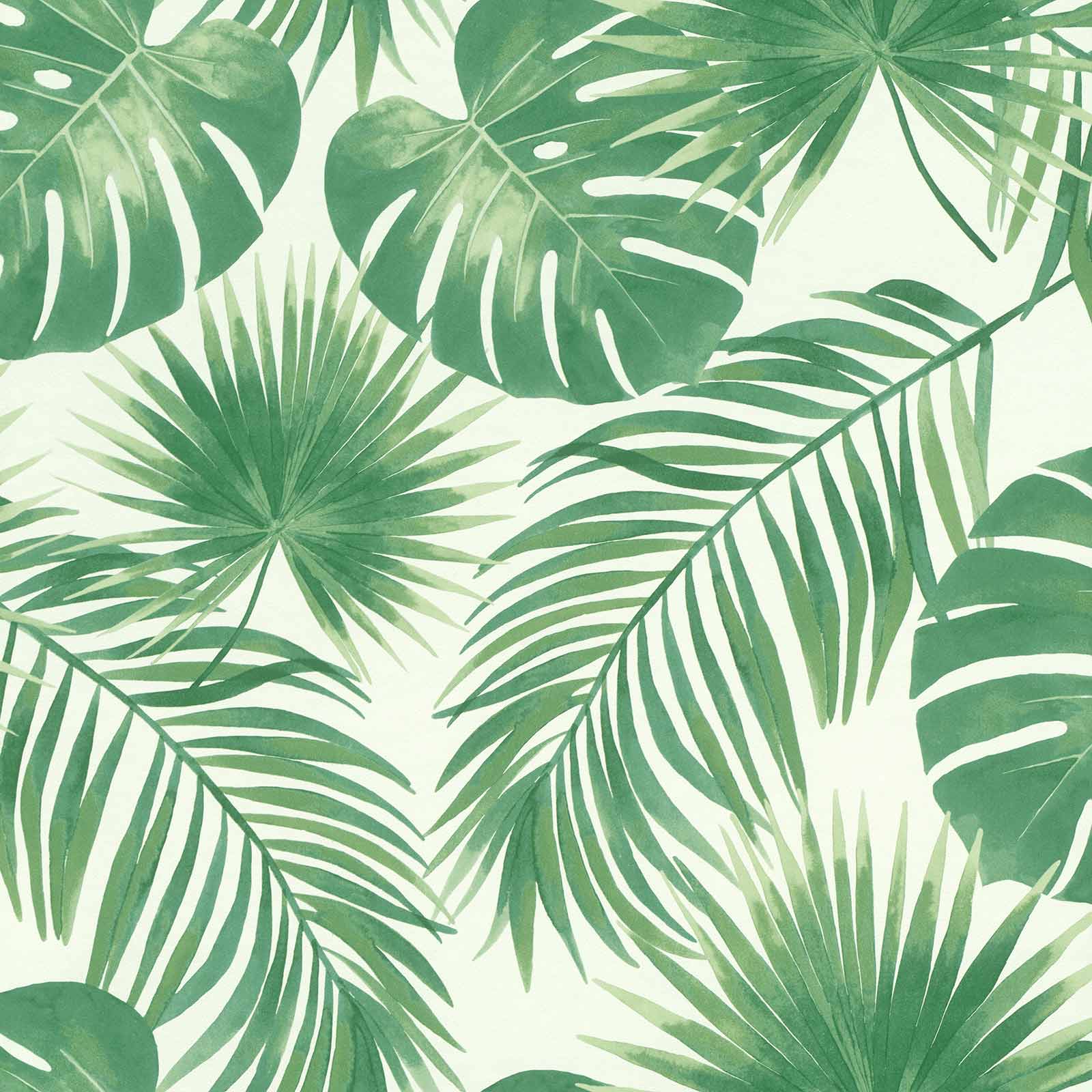 Light Green Leaves Background - HD Wallpaper 