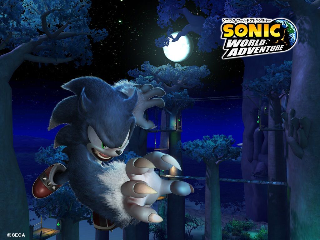 Werehog Hedgehog Sonic Sonic Unleashed - HD Wallpaper 