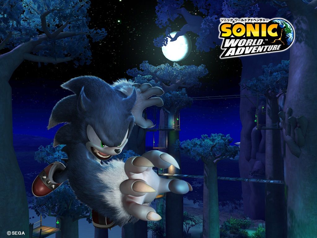 Werehog Hedgehog Sonic Sonic Unleashed - HD Wallpaper 