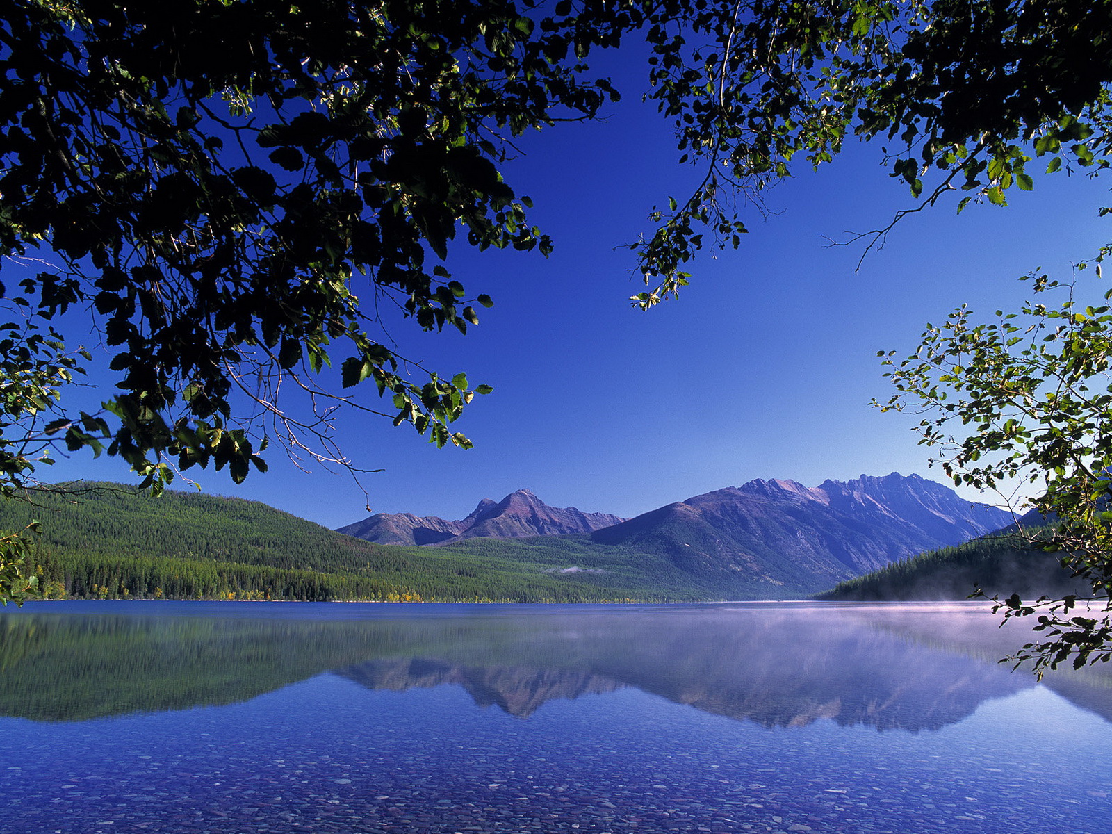 Wide Vga - HD Wallpaper 