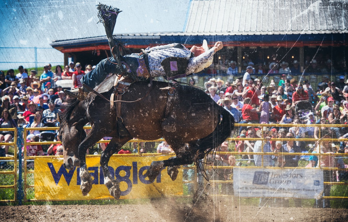 Photo Wallpaper Background, Sport, Rodeo - Wallpaper - HD Wallpaper 