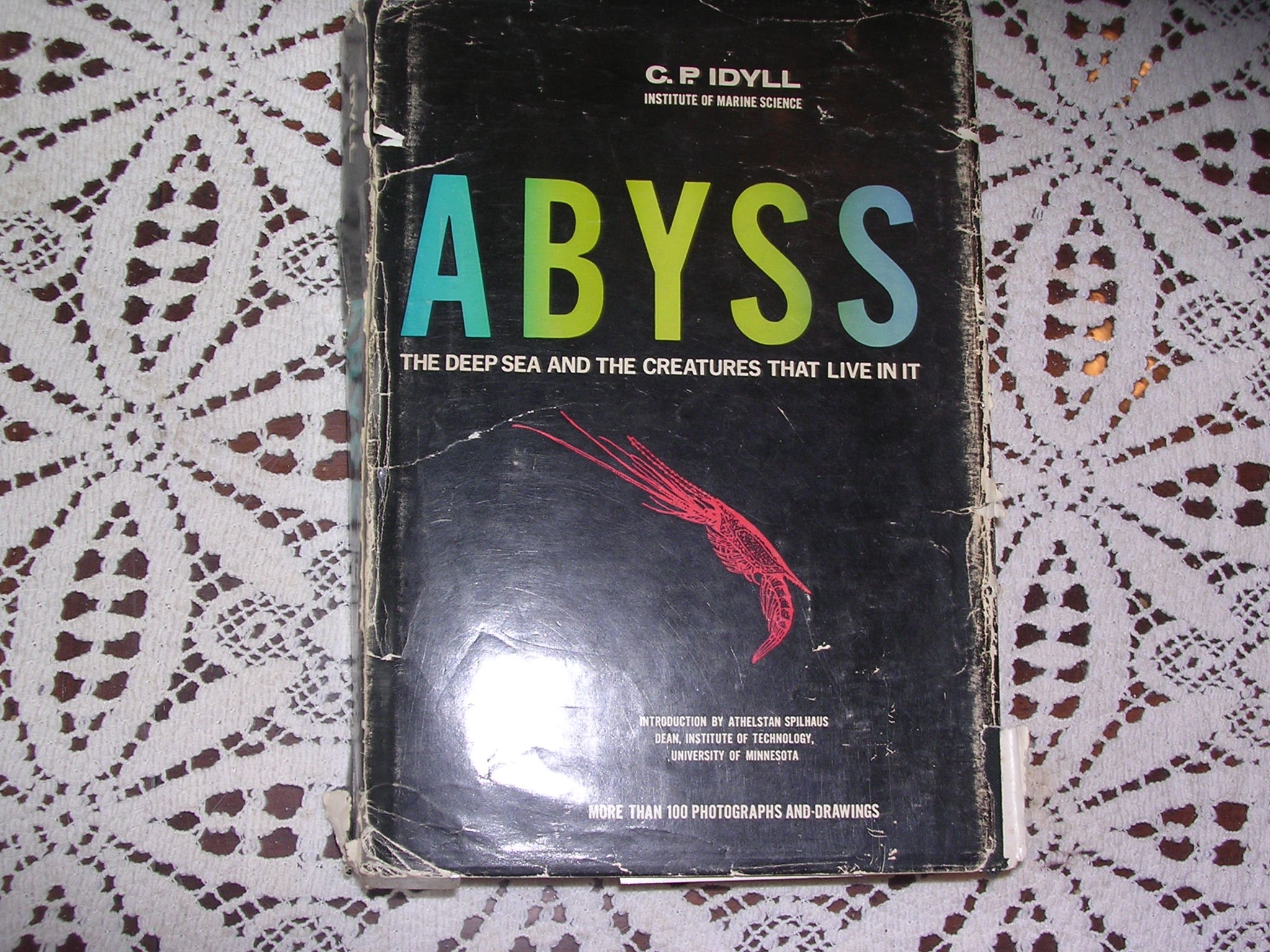Book Cover - HD Wallpaper 