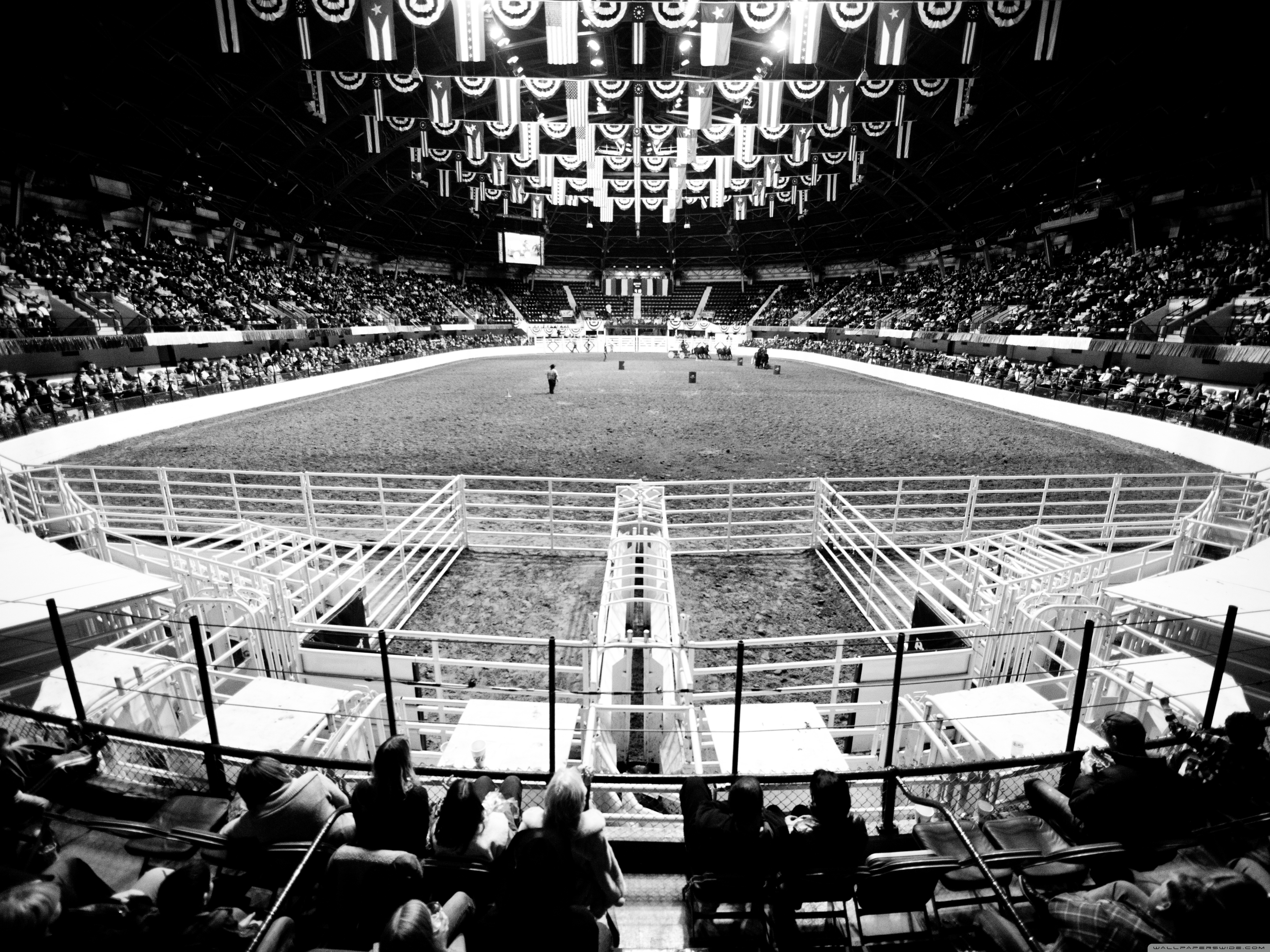 Rodeo Wallpapers Download - HD Wallpaper 