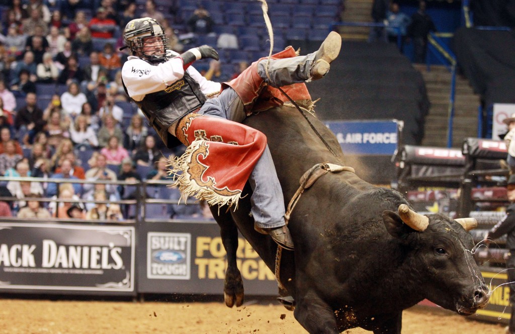 Professional Bull Riding - HD Wallpaper 