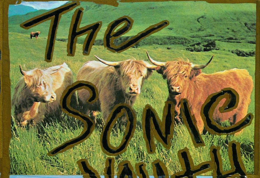 Sonic Youth Sister - HD Wallpaper 