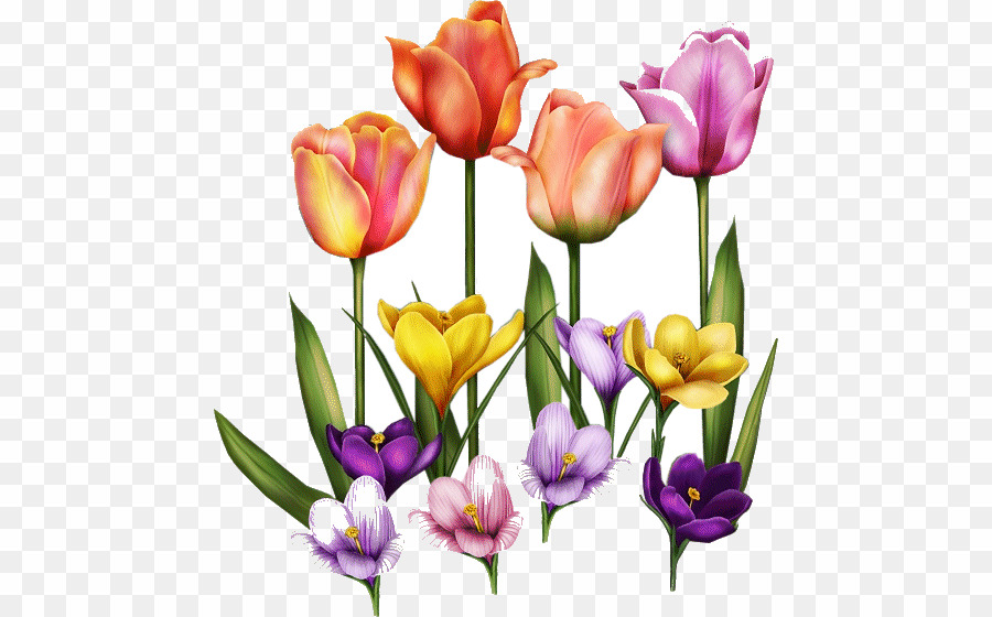 Thank You Gif Spring Png Desktop Wallpaper Gfycat Clipart - Auguri A Me Onomastico - HD Wallpaper 