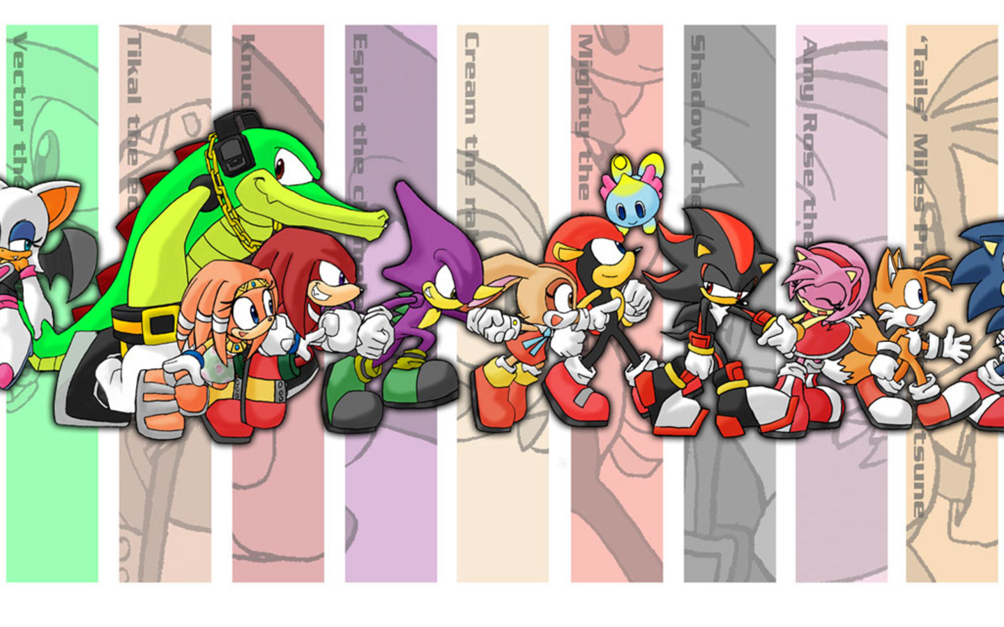 All Sonic Characters - HD Wallpaper 