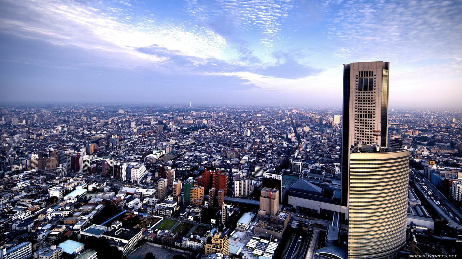 Desktop Wallpaper 1600x900 - HD Wallpaper 