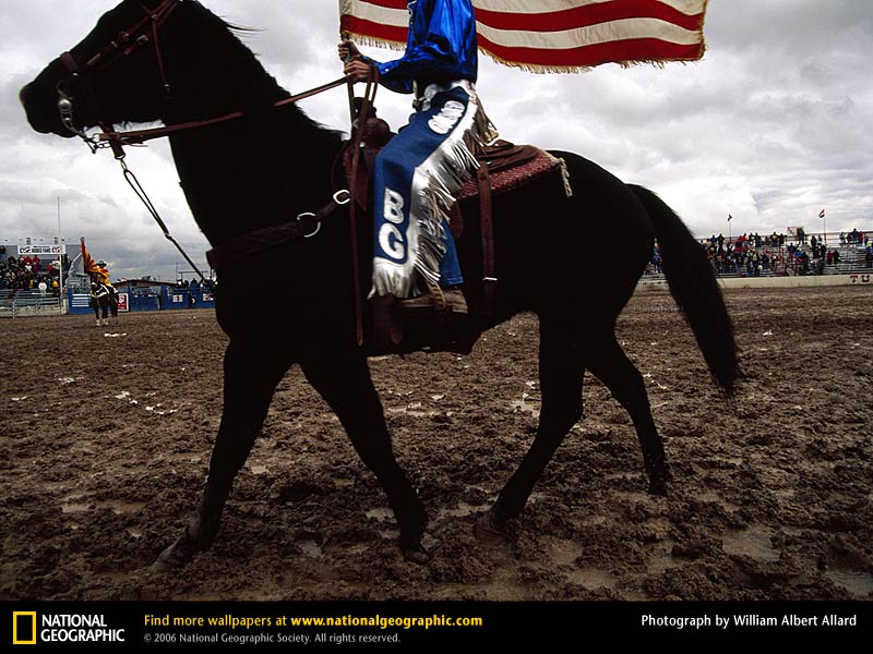 Hd Rodeo Wallpaper - National Geographic - HD Wallpaper 