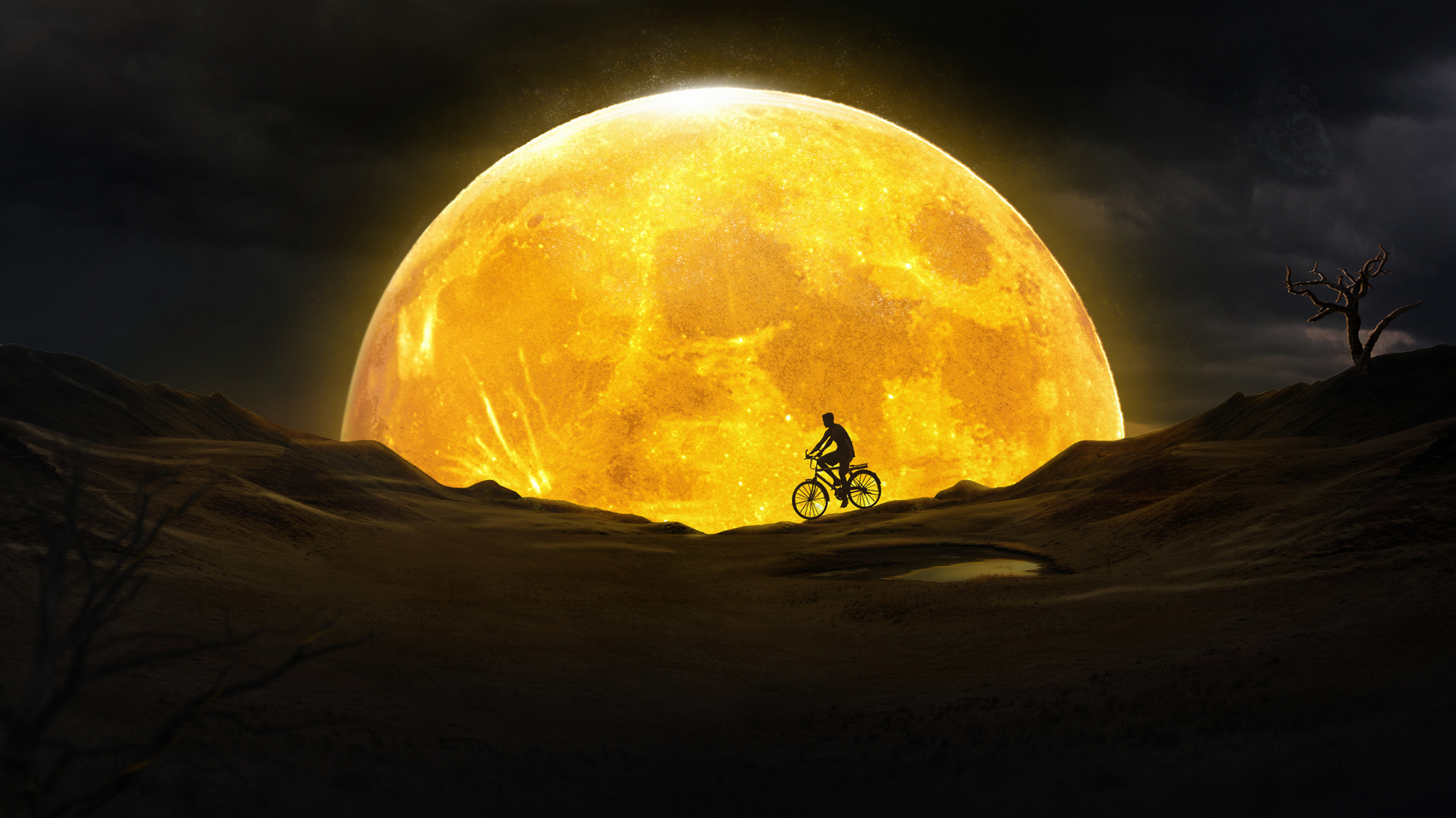 Yellow Moon Wallpaper Hd - HD Wallpaper 