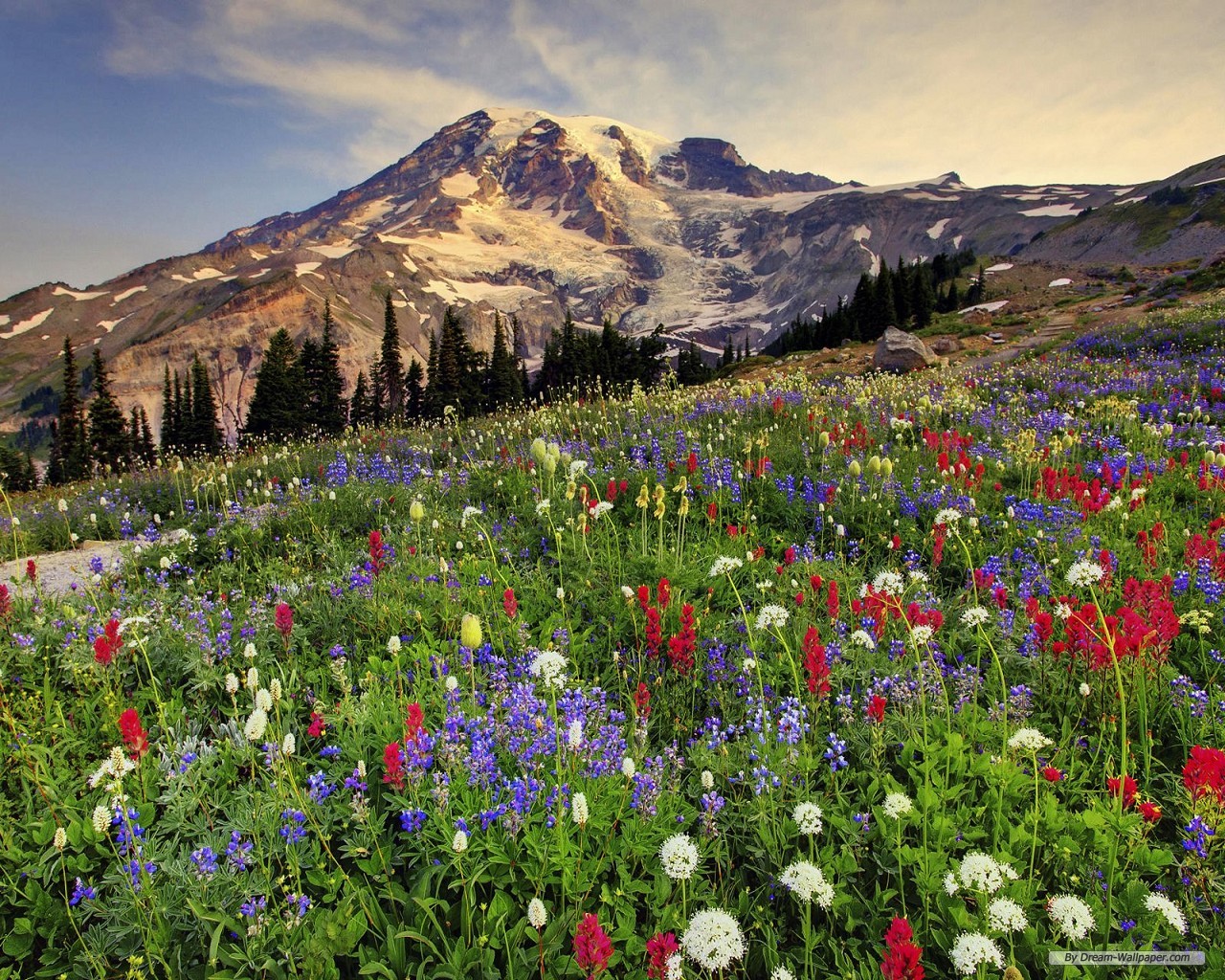 Free Nature Wallpaper - Mt Rainier Paradise Meadows - HD Wallpaper 