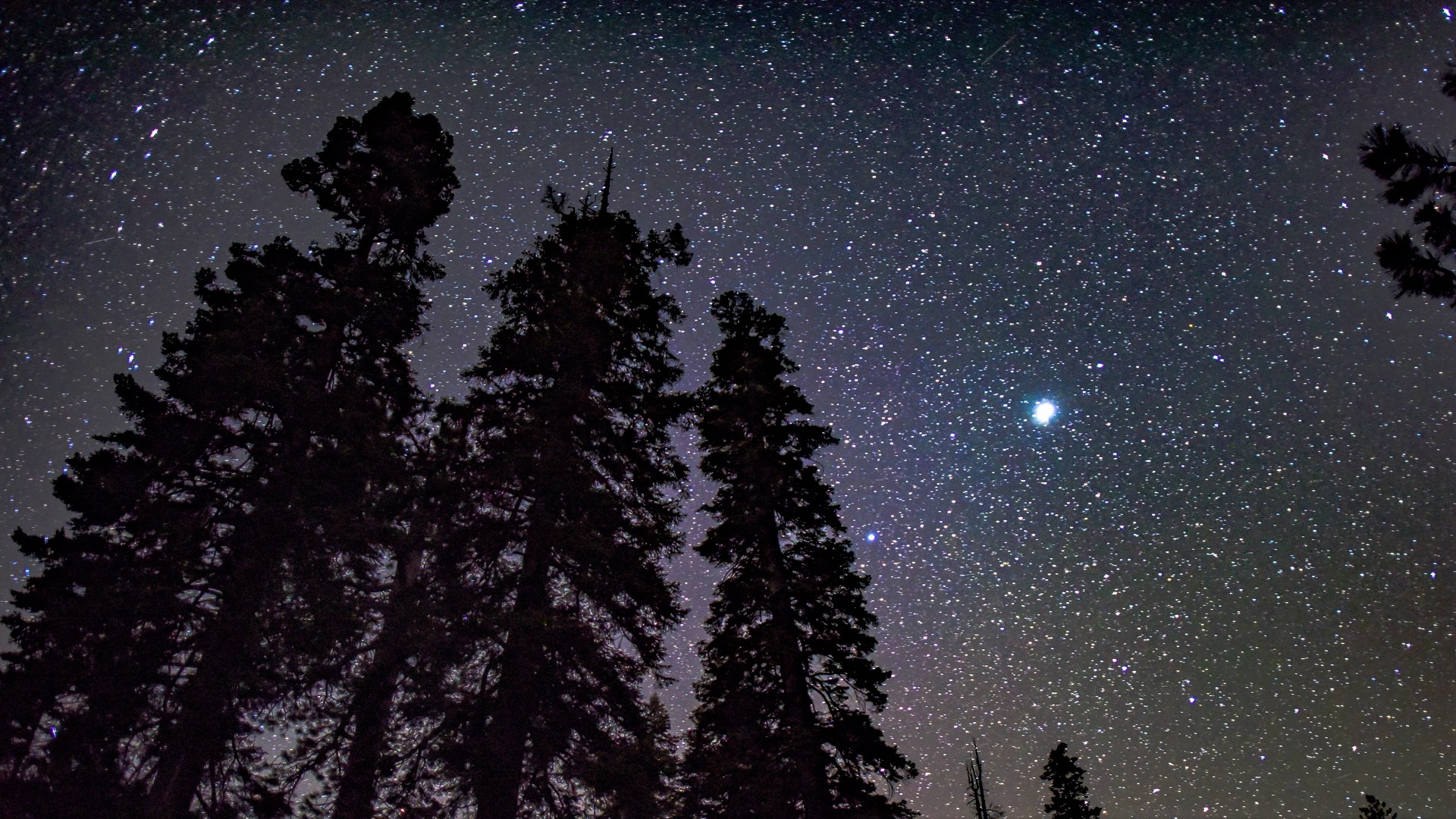 Wallpaper Of Earth, Night, Pine, Tree, Snow, Starry, - Night Sky Stars Desktop - HD Wallpaper 