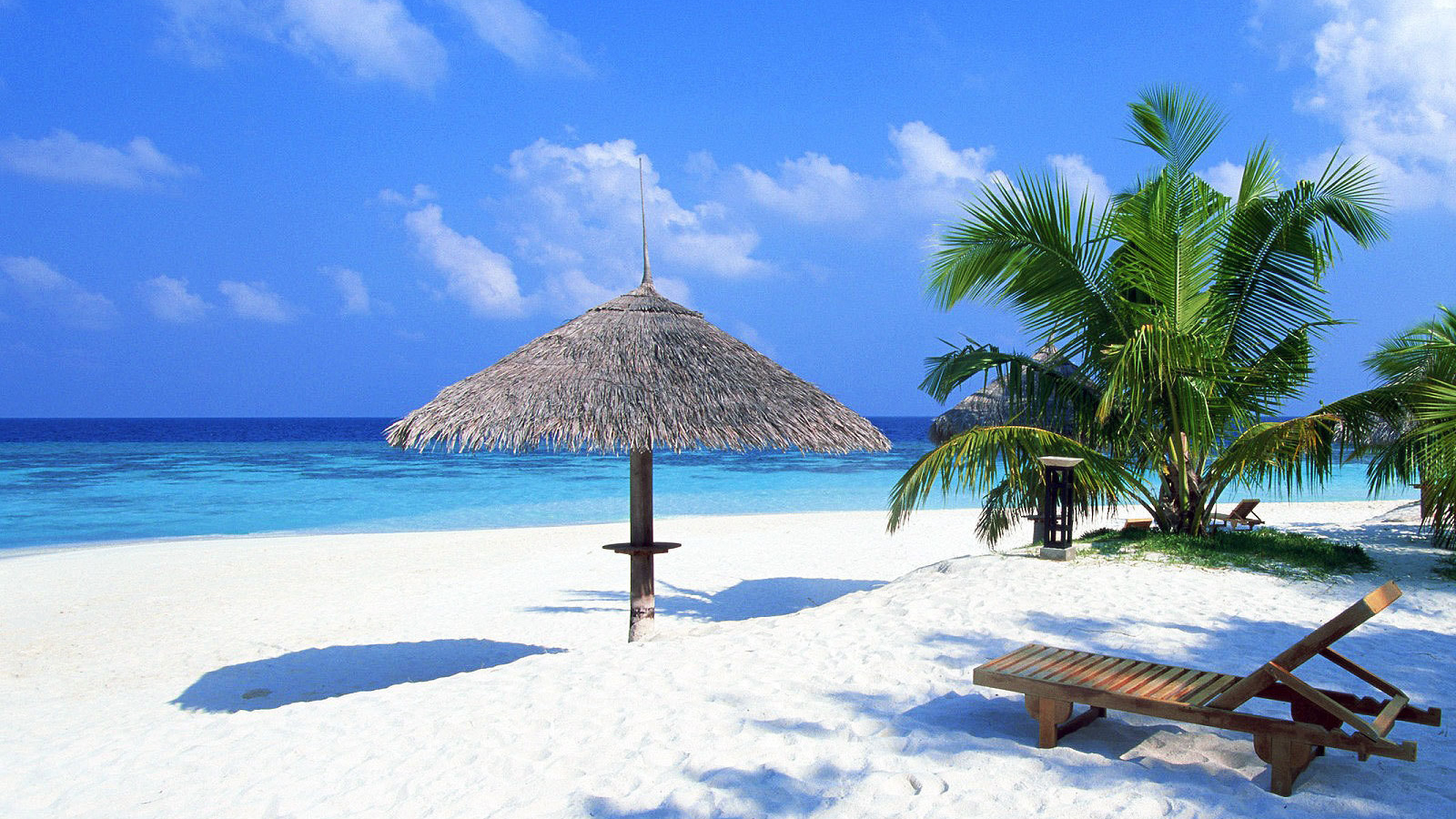 Desktop Wallpaper 1600x900 - HD Wallpaper 