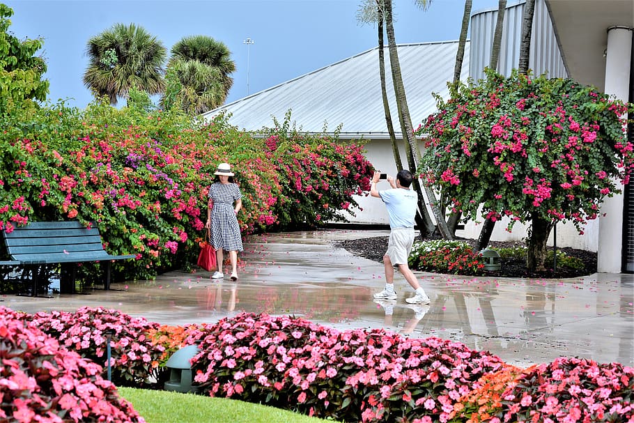 Woman, Female, Young, Model, Modeling, Wholesome, Lovers, - Rose - HD Wallpaper 