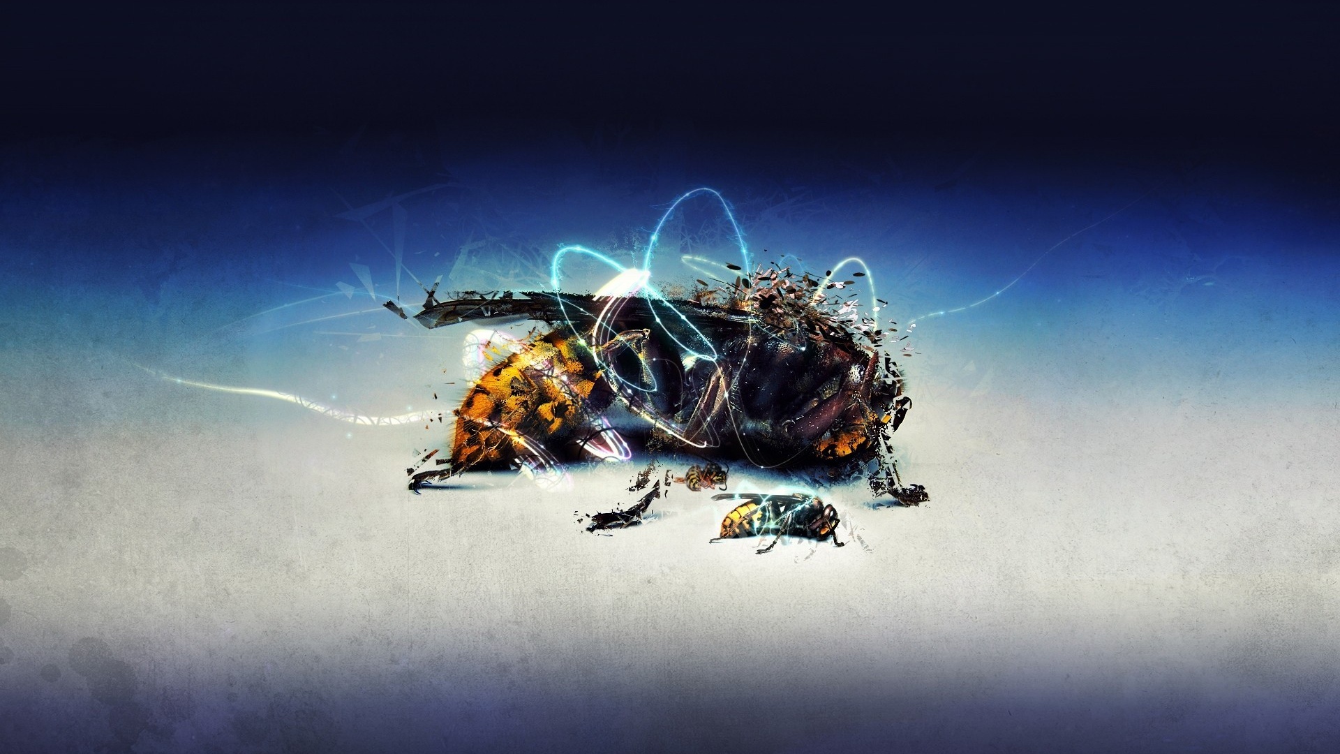High Resolution - HD Wallpaper 