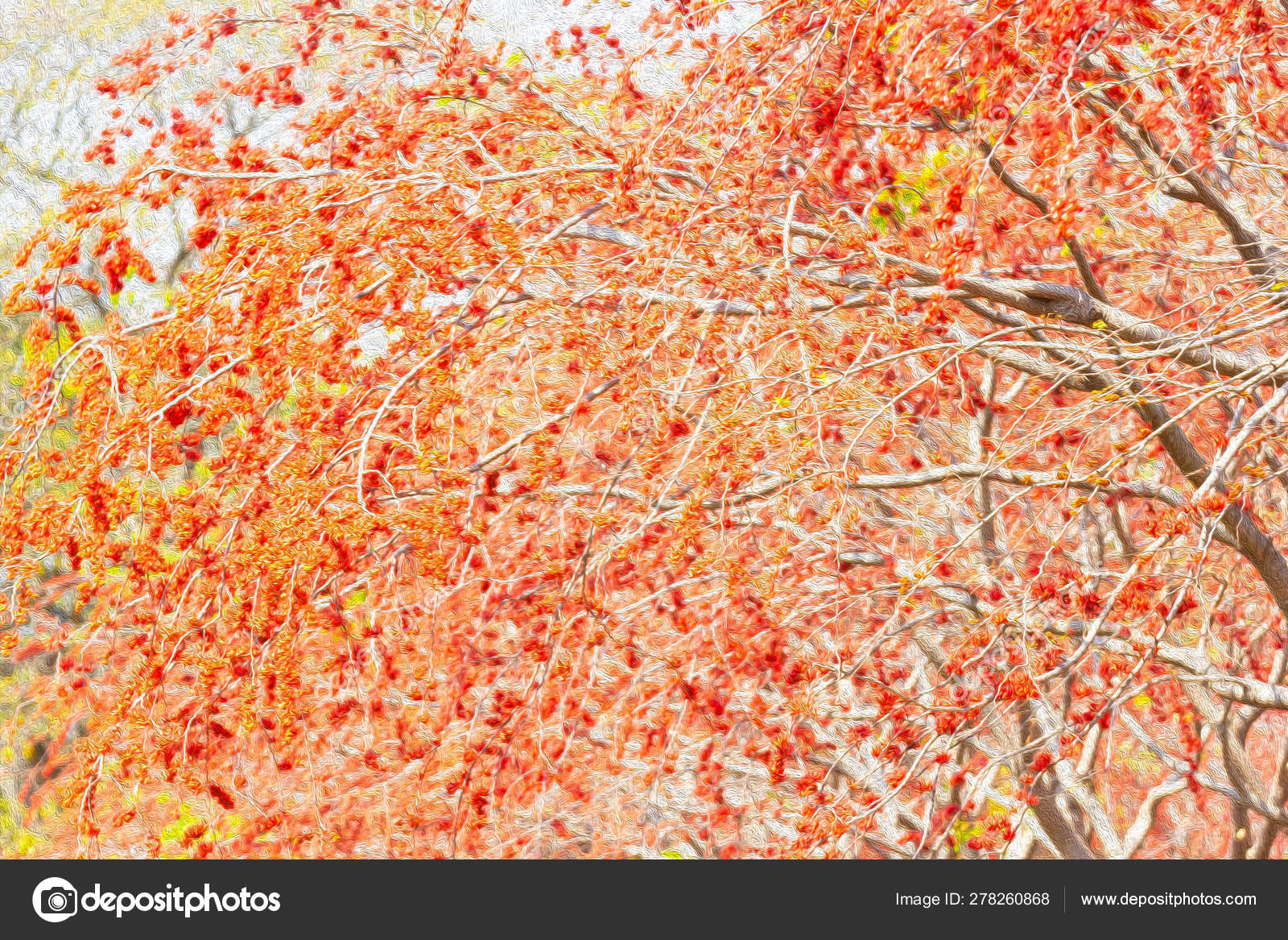 Autumn - HD Wallpaper 