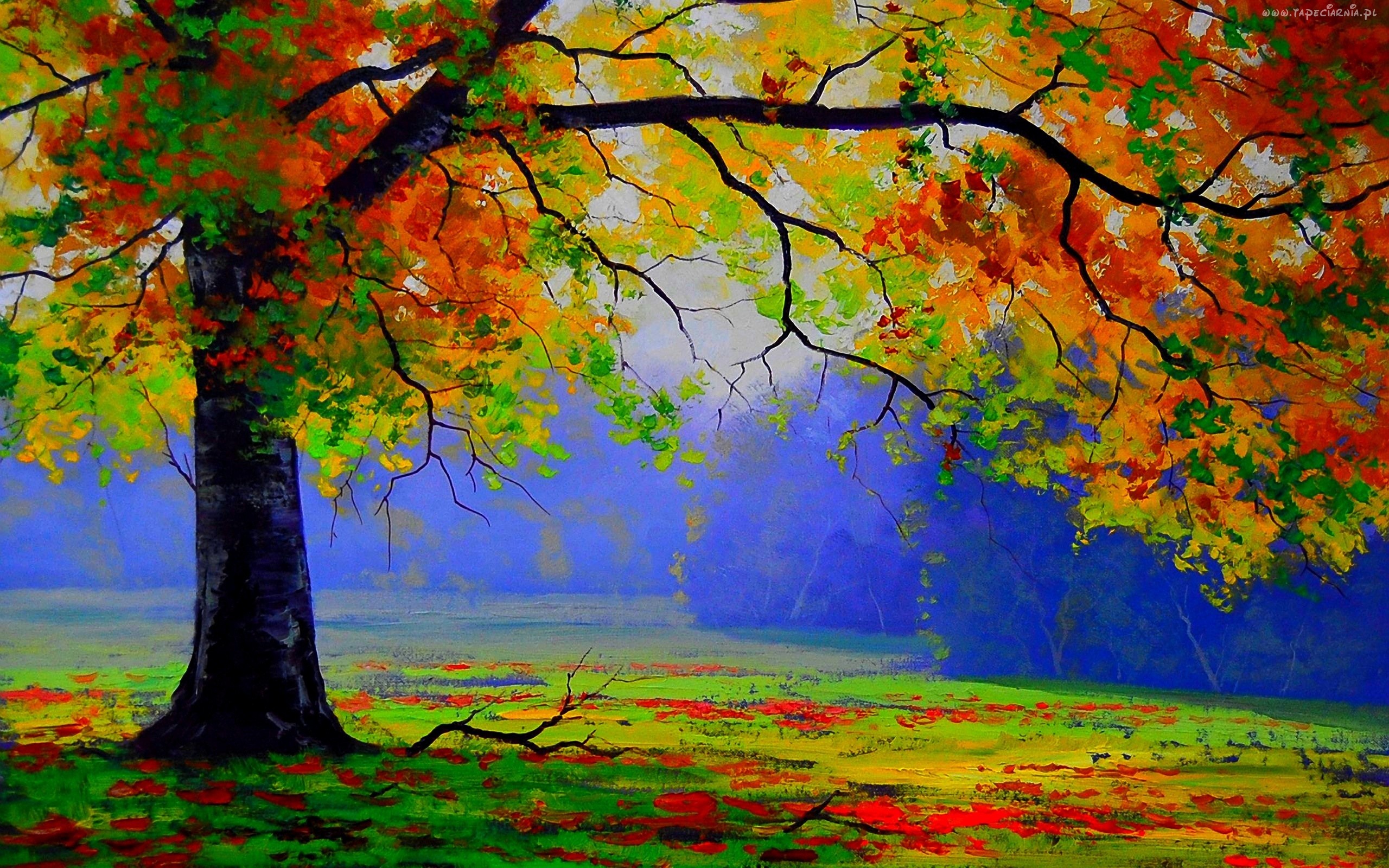 2560x1600, Colors Just Bliss Rainbow Around Us Beautiful - HD Wallpaper 