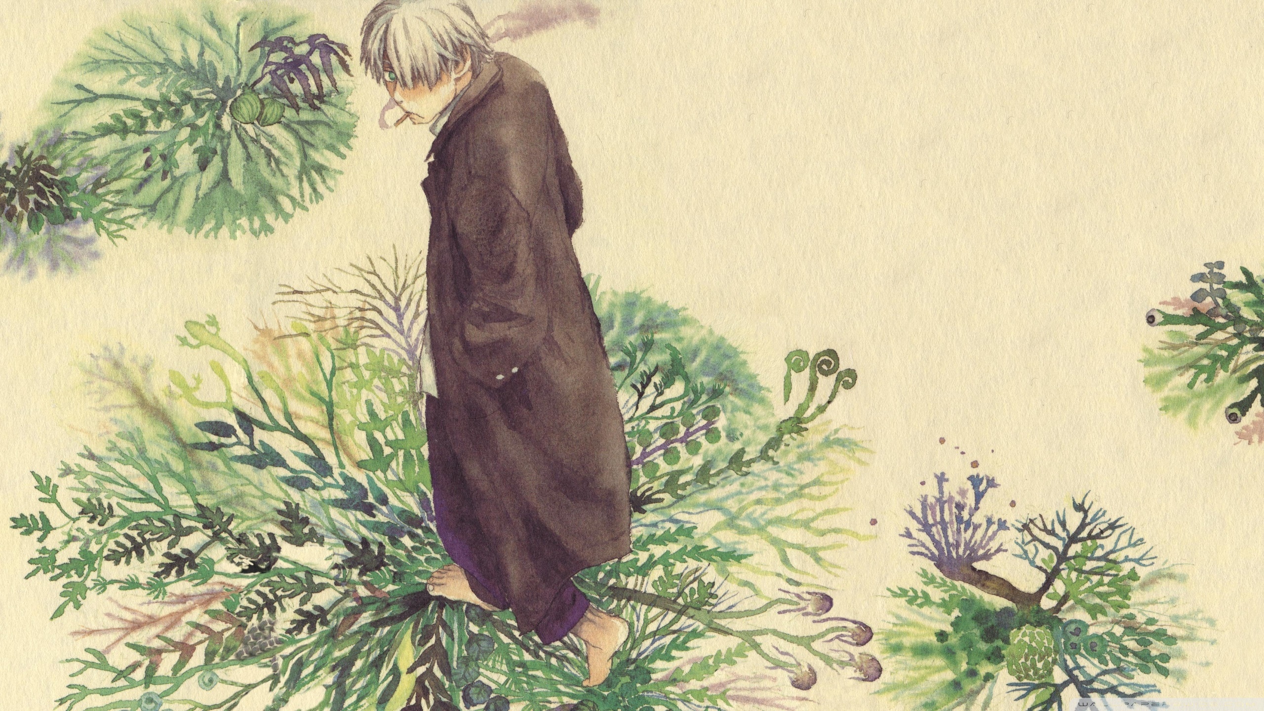 Mushishi Manga Art - HD Wallpaper 