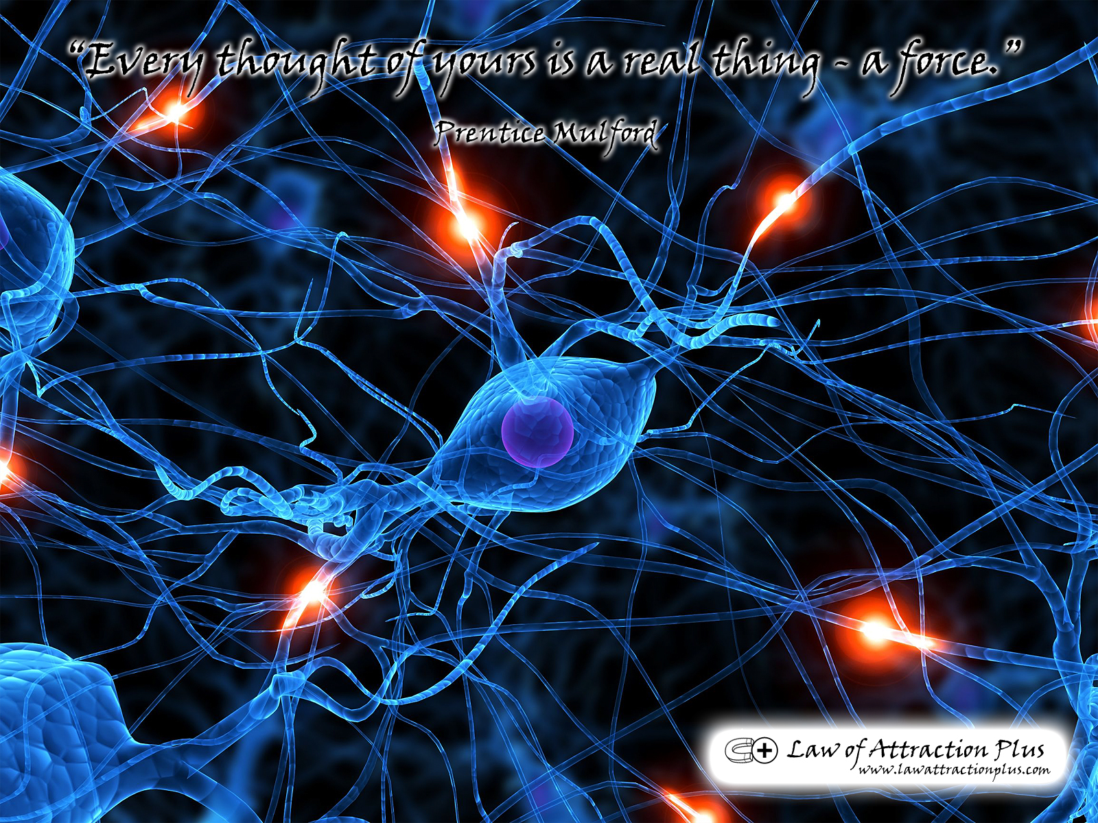 Free Law Of Attraction Wallpaper With A Quote By Prentice - Law Of Attraction Hd - HD Wallpaper 