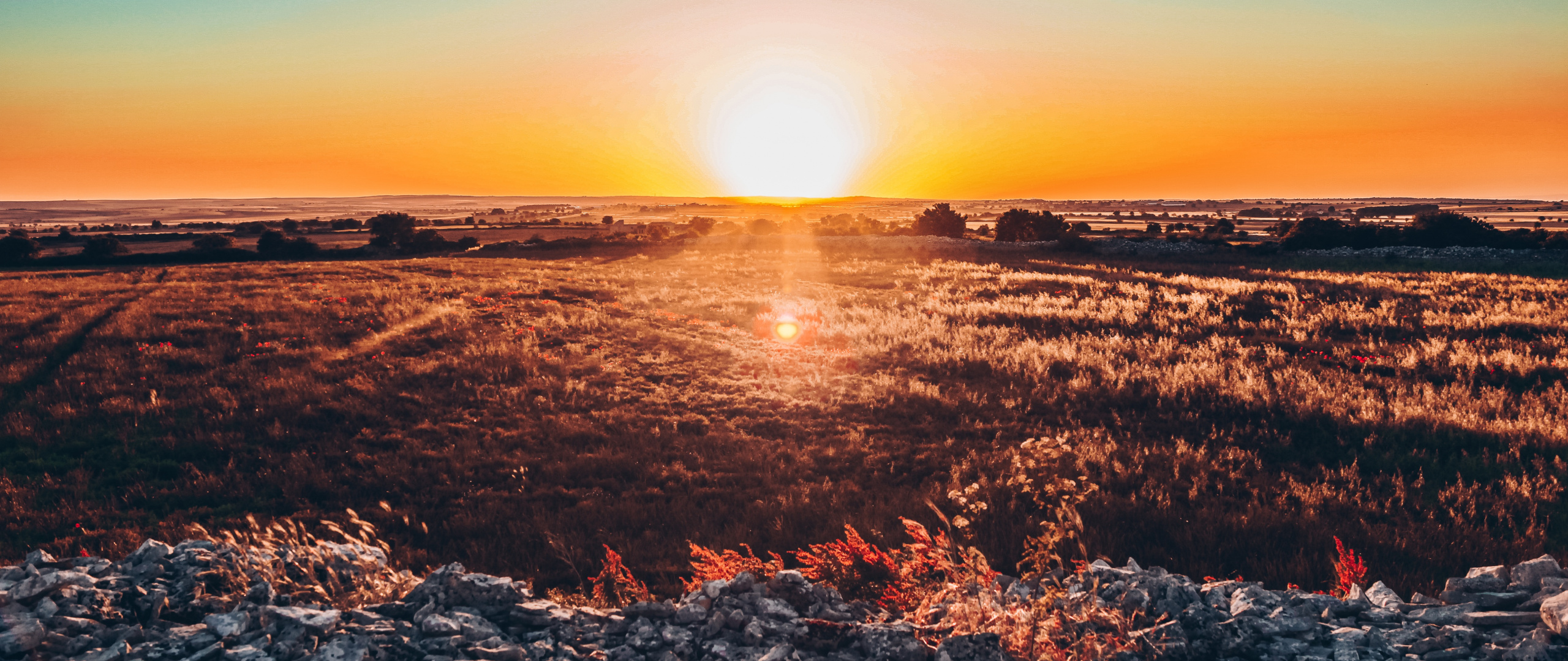 Landscape, Panorama, Sunset, Skyline, Wallpaper - Hd Panorama - HD Wallpaper 