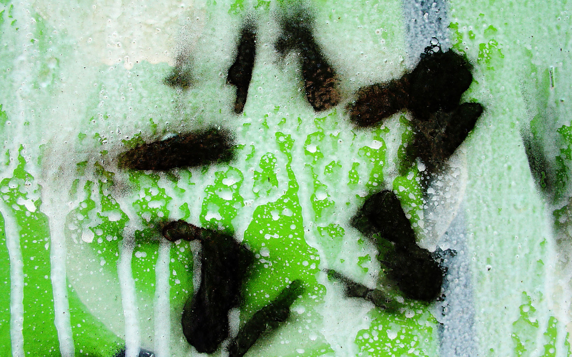 Green Graffiti - HD Wallpaper 