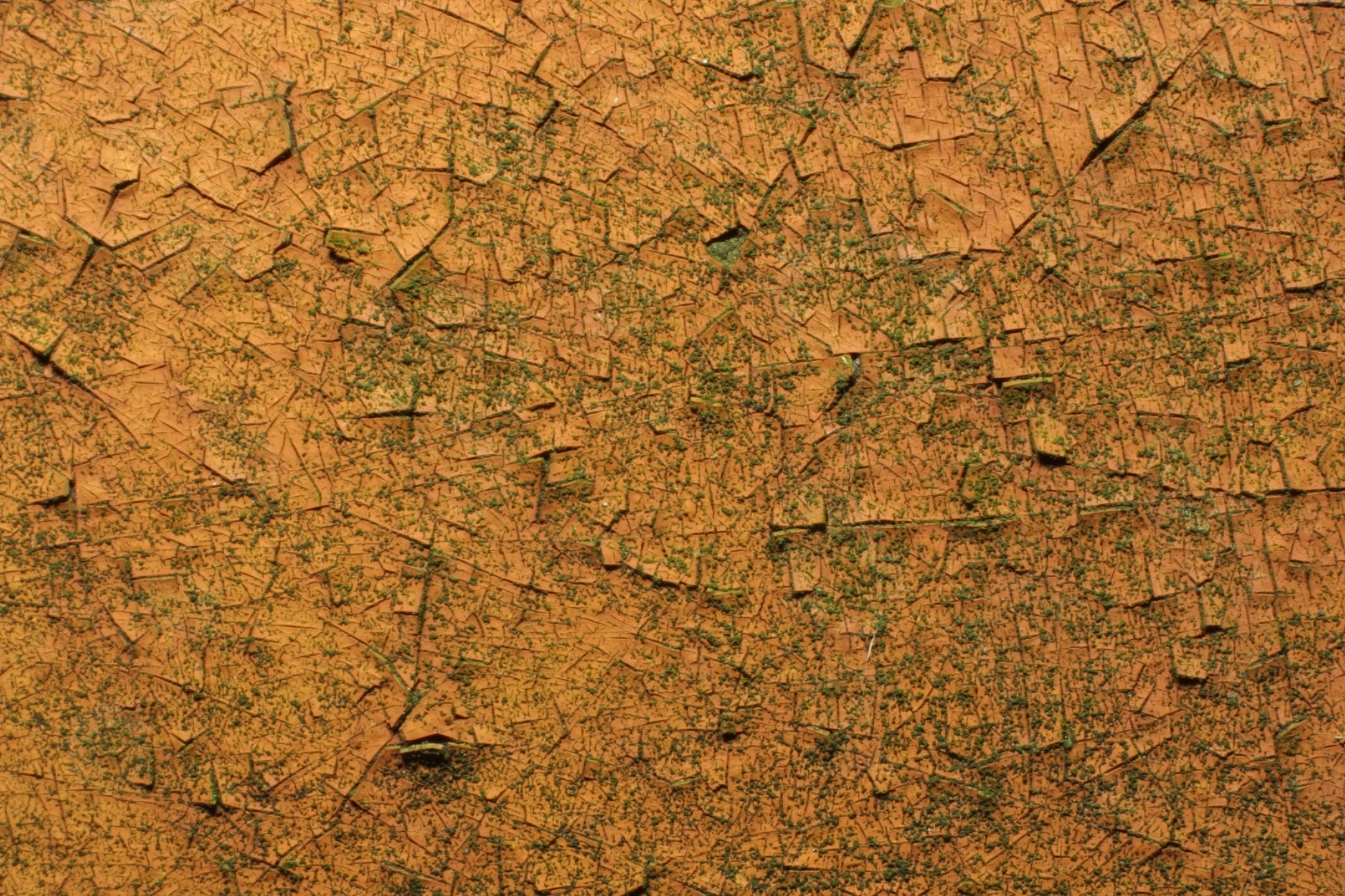 Vinyl Wallpapers Textured Wallpaper - Peeled Wallpaper Texture - 2160x1440 Wallpaper Vinyl Wallpapers Textured Wallpaper - Peeled Wallpaper Texture - 2160x1440 Wallpaper