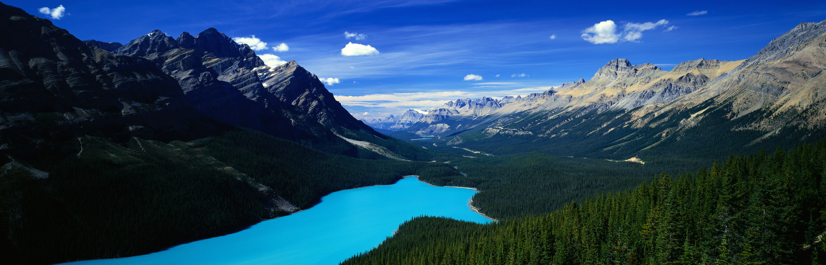 Panoramic Dual Monitor Wallpaper Free - Peyto Lake - HD Wallpaper 