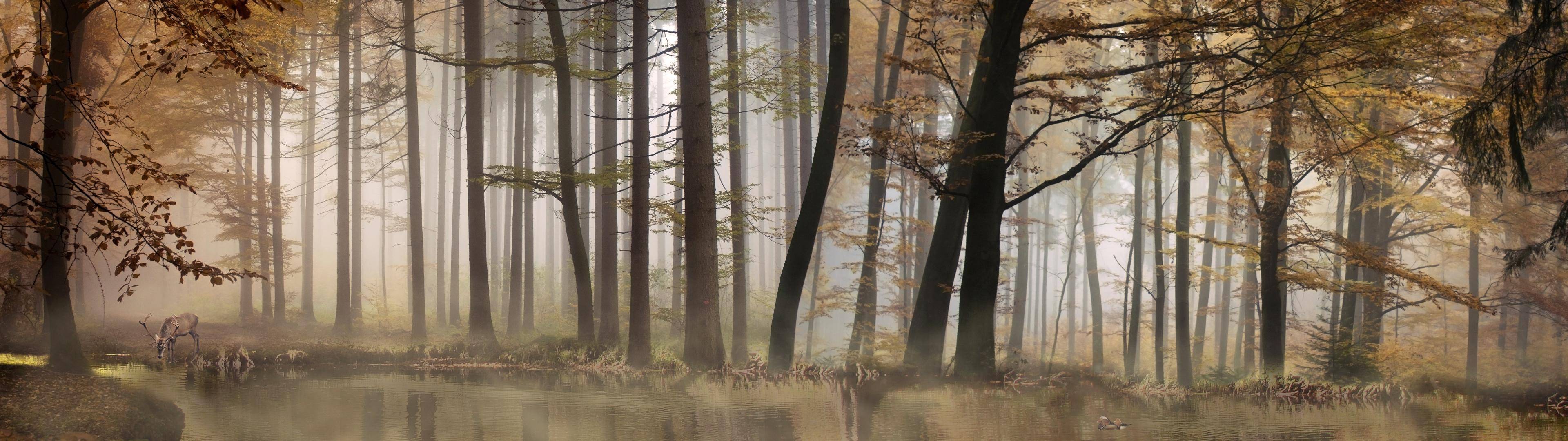 Dual Screen Wallpaper Forest - 3840x1080 Wallpaper Dual Screen Wallpaper Forest - 3840x1080 Wallpaper