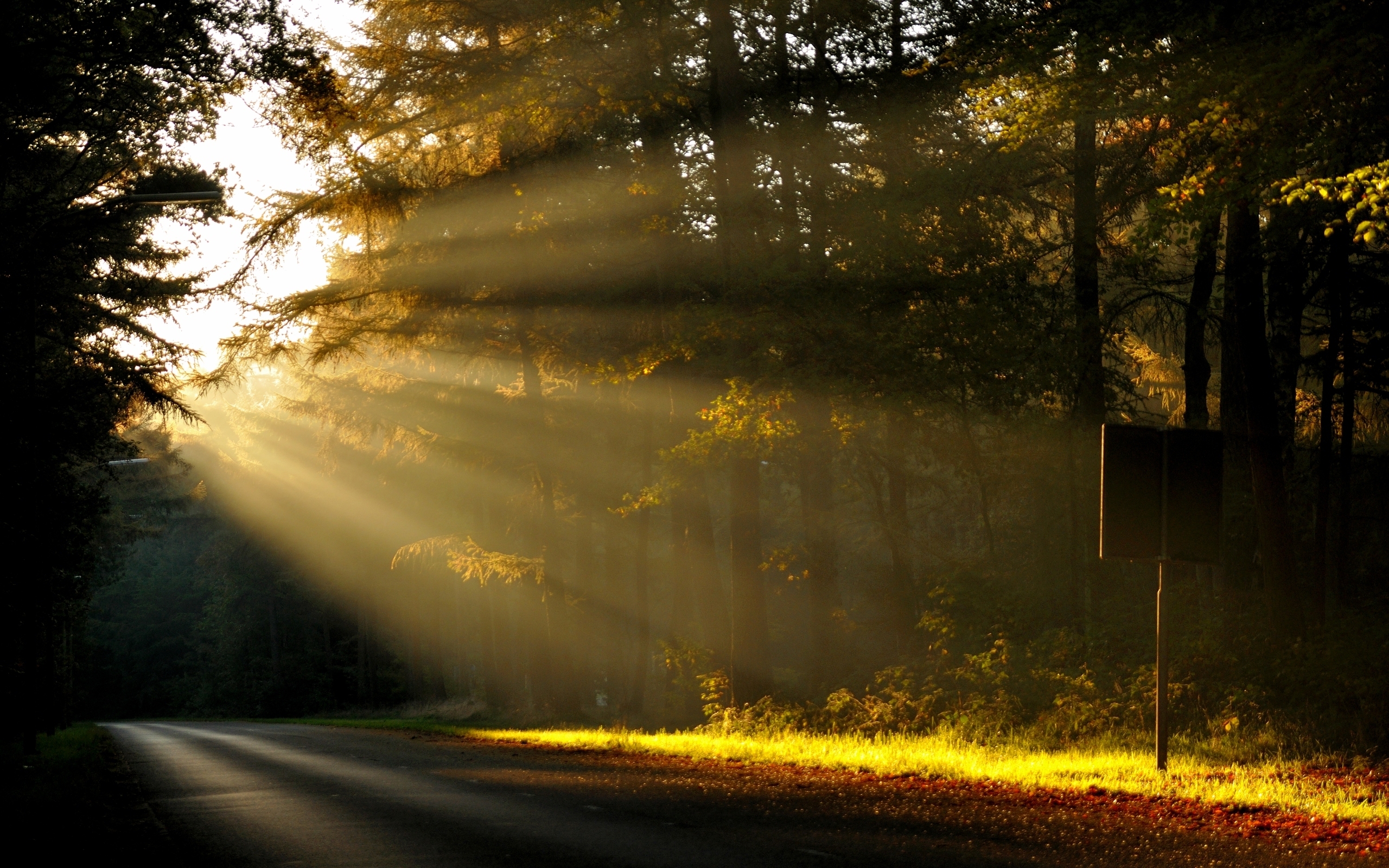 Preview Morning - HD Wallpaper 