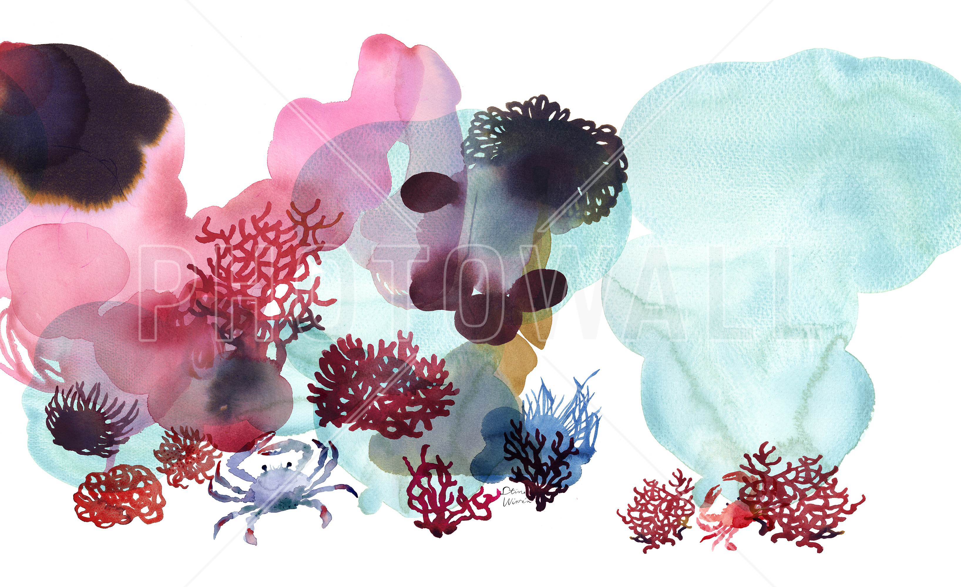 Water Color Coral Ii - Watercolor Painting - HD Wallpaper 