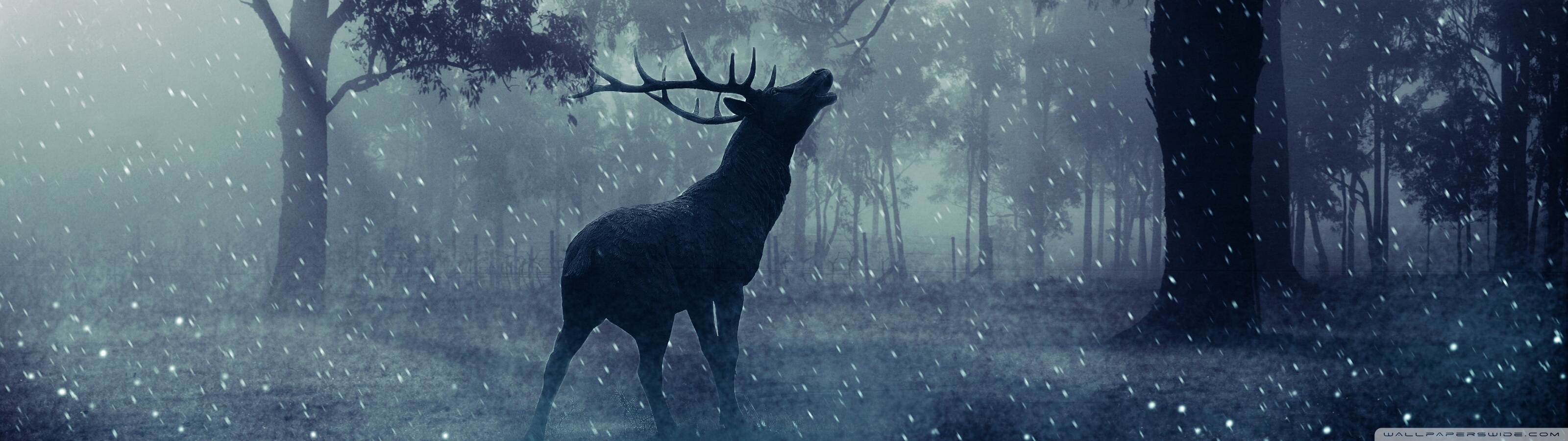 Dual Monitor Wallpaper Yule - HD Wallpaper 