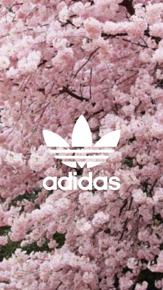 Background, Wallpaper, And Lockscreen Image - Cherry Blossom Adidas Logo - HD Wallpaper 