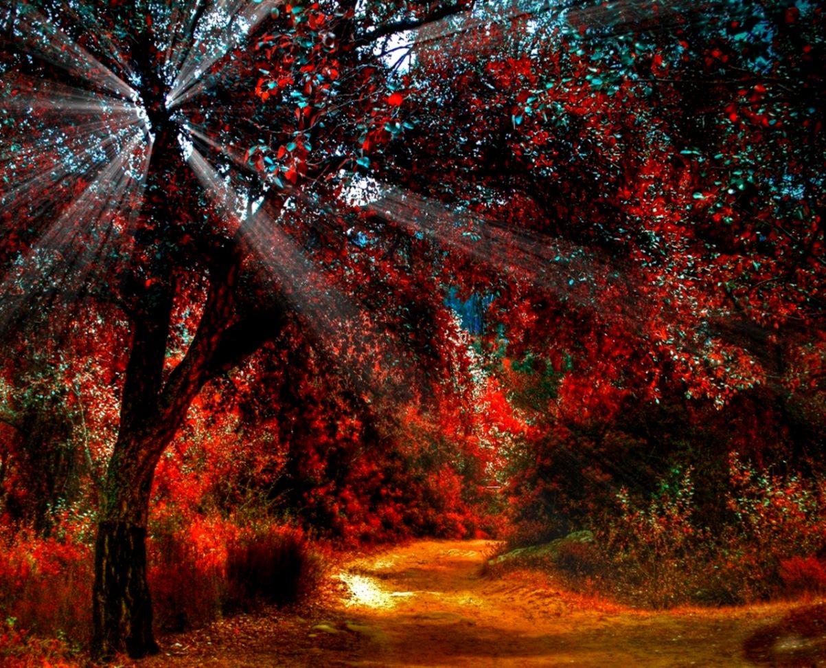 Dual Monitor Nature Wide Autumn Saver For Your Free - Dual Monitor Wallpaper Fall - 1203x972 Wallpaper Dual Monitor Nature Wide Autumn Saver For Your Free - Dual Monitor Wallpaper Fall - 1203x972 Wallpaper