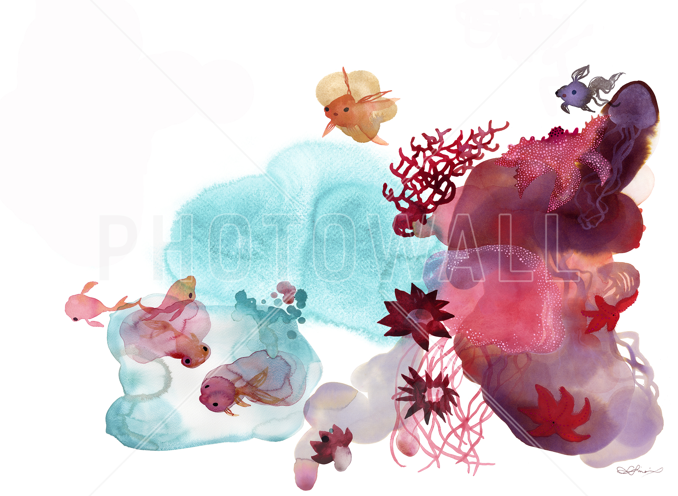 Water Color Coral Iv - Illustration - HD Wallpaper 