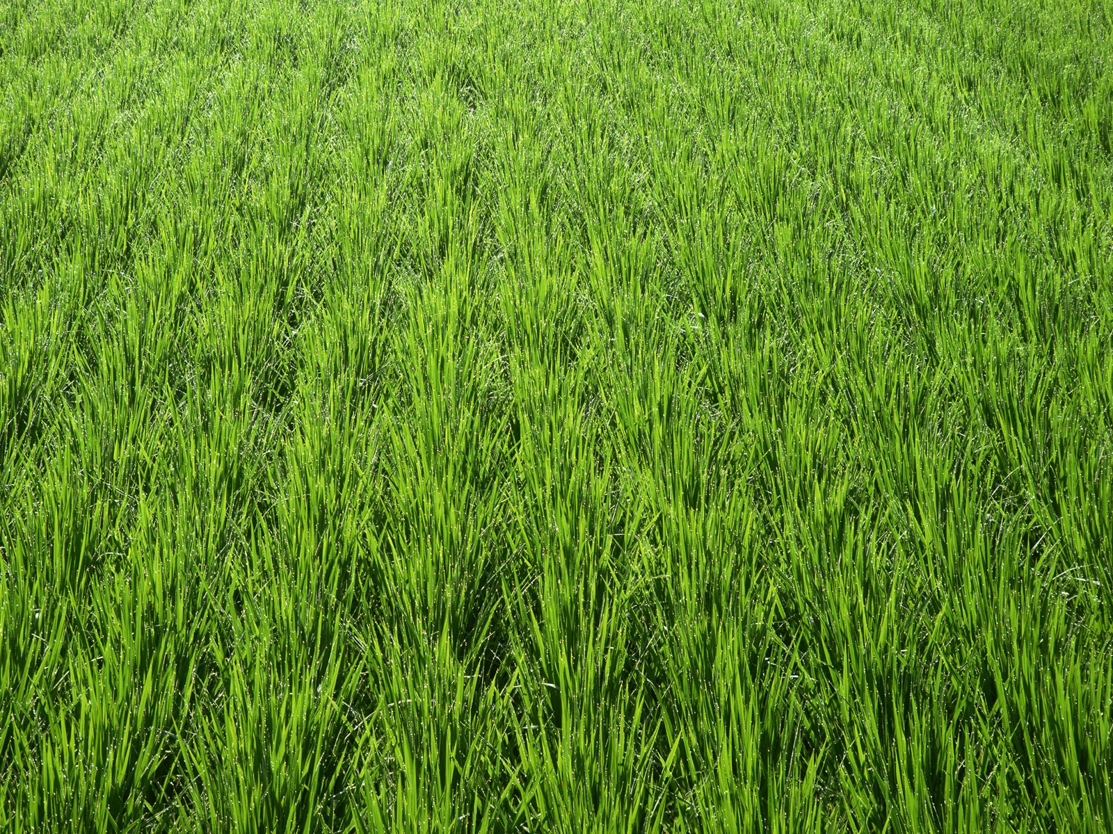 Http - //2 - Bp - Blogspot - Screen Wallpapers - HD Wallpaper 