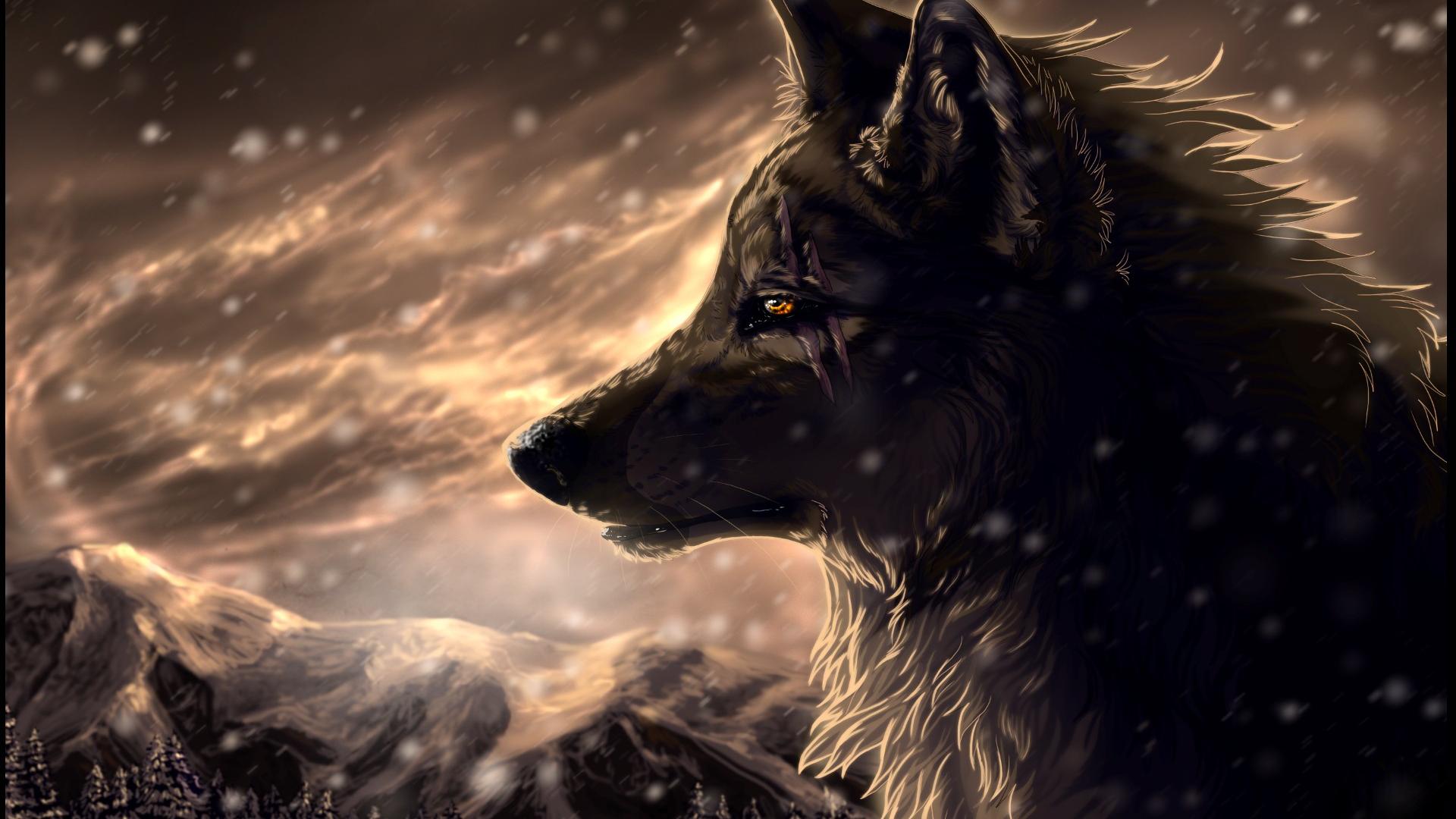 Cool Wolf Hd Backgrounds - HD Wallpaper 
