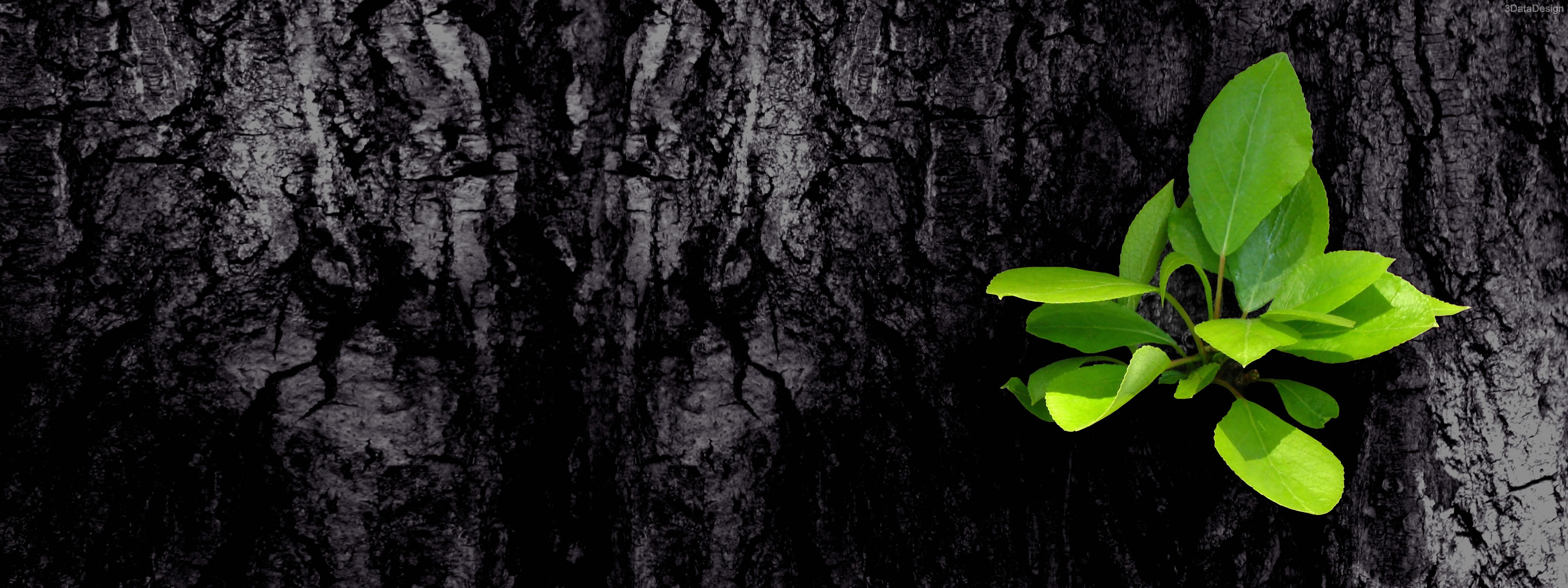 Hope We End Up Together Quotes - HD Wallpaper 